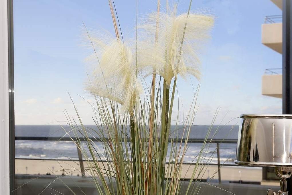 Ganze Ferienwohnung, Haus am Meer, App 73 in Westerland, Sylt (Gemeinde)