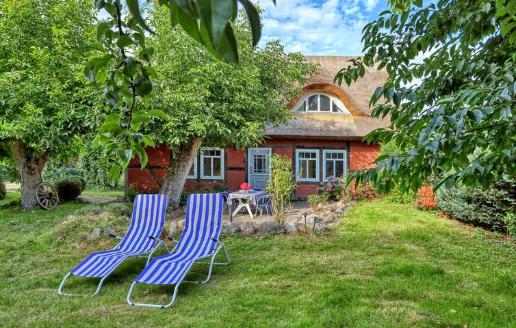Ferienhaus für 4 Personen, mit Terrasse, mit Haustier - 1