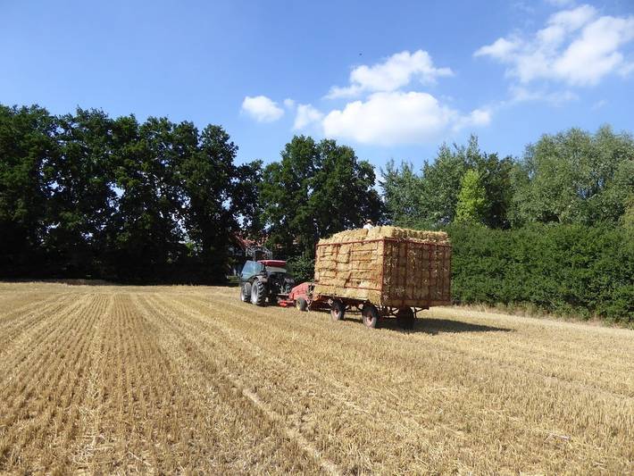 Tiempo muerto Adendorf in Adendorf, Nordheide