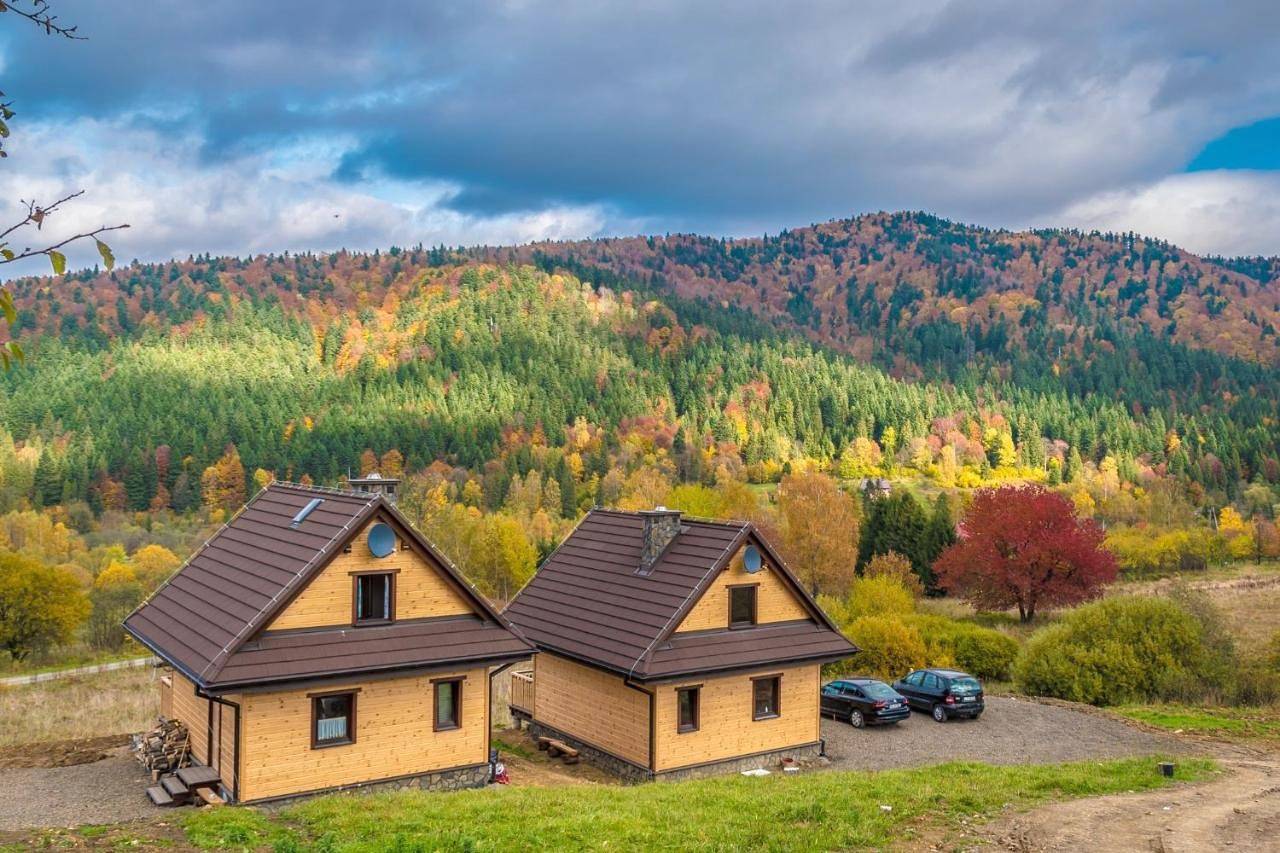 Two-Bedroom Chalet in Bieszczady