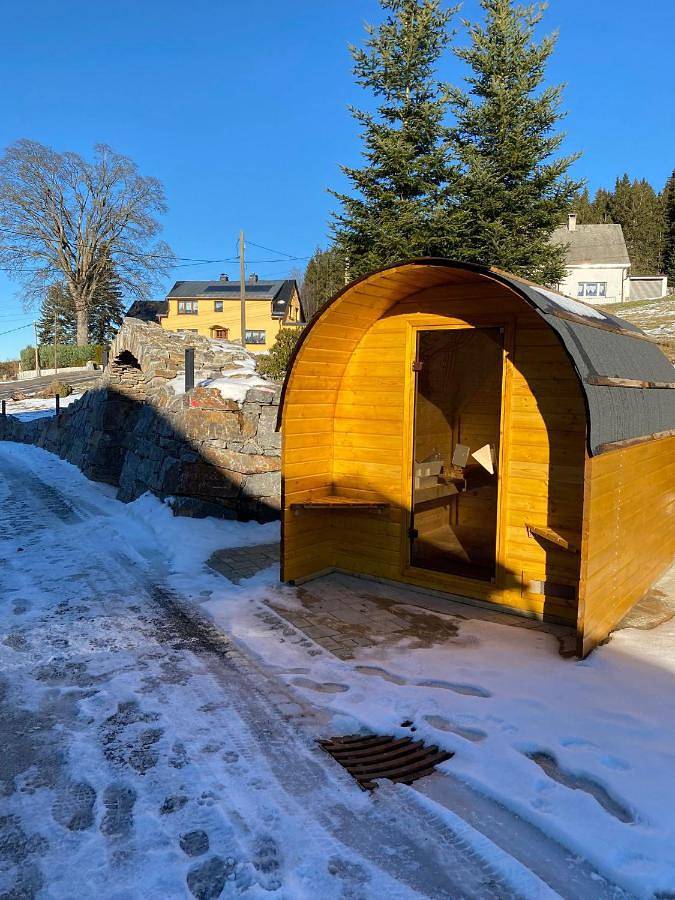 Ganze Wohnung, Morgensonne in Breitenbrunn / Erzgebirge, Erzgebirge