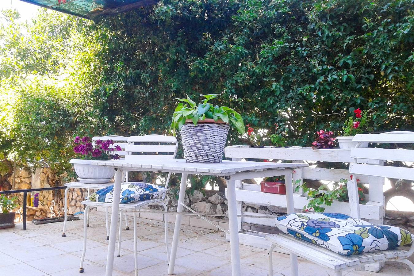 Ganze Wohnung, 2-Zimmer-Ferienwohnung am Strand Okrug Gornji, Ciovo A-459-a in Okrug Gornji, Ciovo
