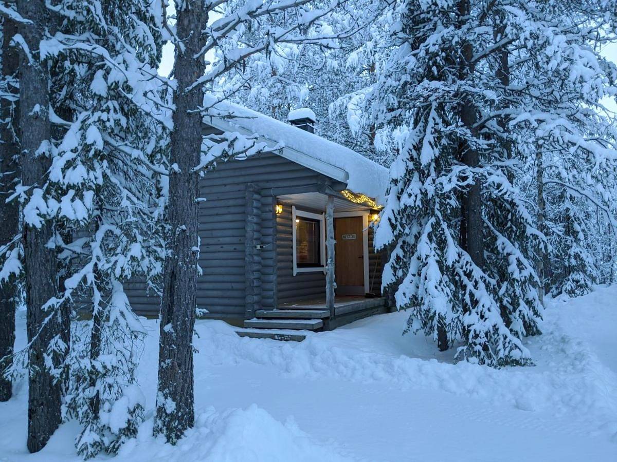 Tunturioravat in Kaulavaara, Laponia