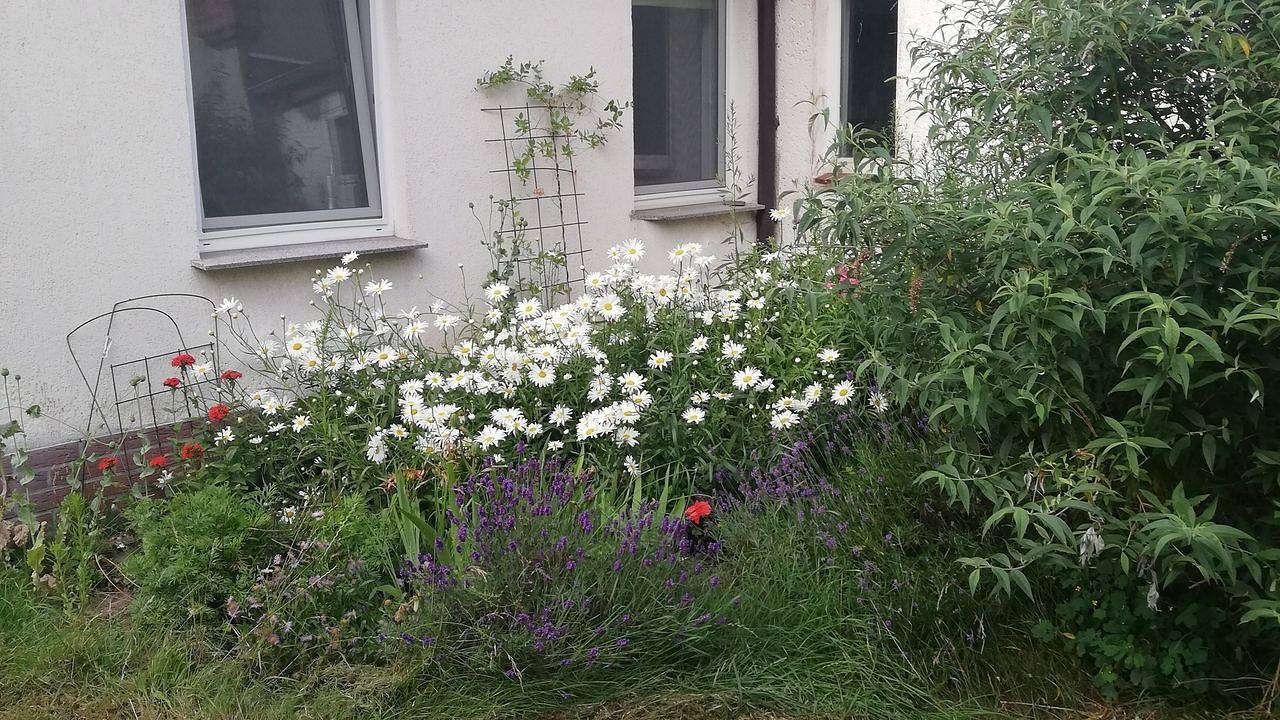 Ganze Ferienwohnung, Ferienwohnung für 4 Personen (75 m²) in Wittenburg in Wittenburg, Mecklenburgisches Elbetal