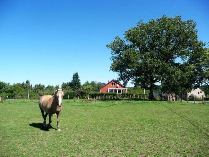 Location de vacances pour 15 personnes, avec vue et jardin, animaux acceptés à Gedinne - 2
