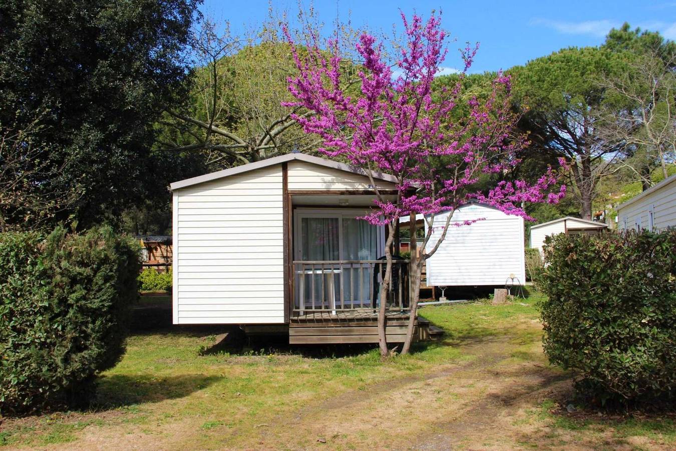 Camping 3 étoiles - Piscine  - cca0gbe in Saint-Jean-Pla-de-Corts, Región Céret