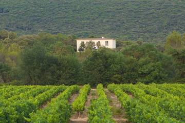Location de vacances pour 10 personnes, avec terrasse et jardin à Vacquières