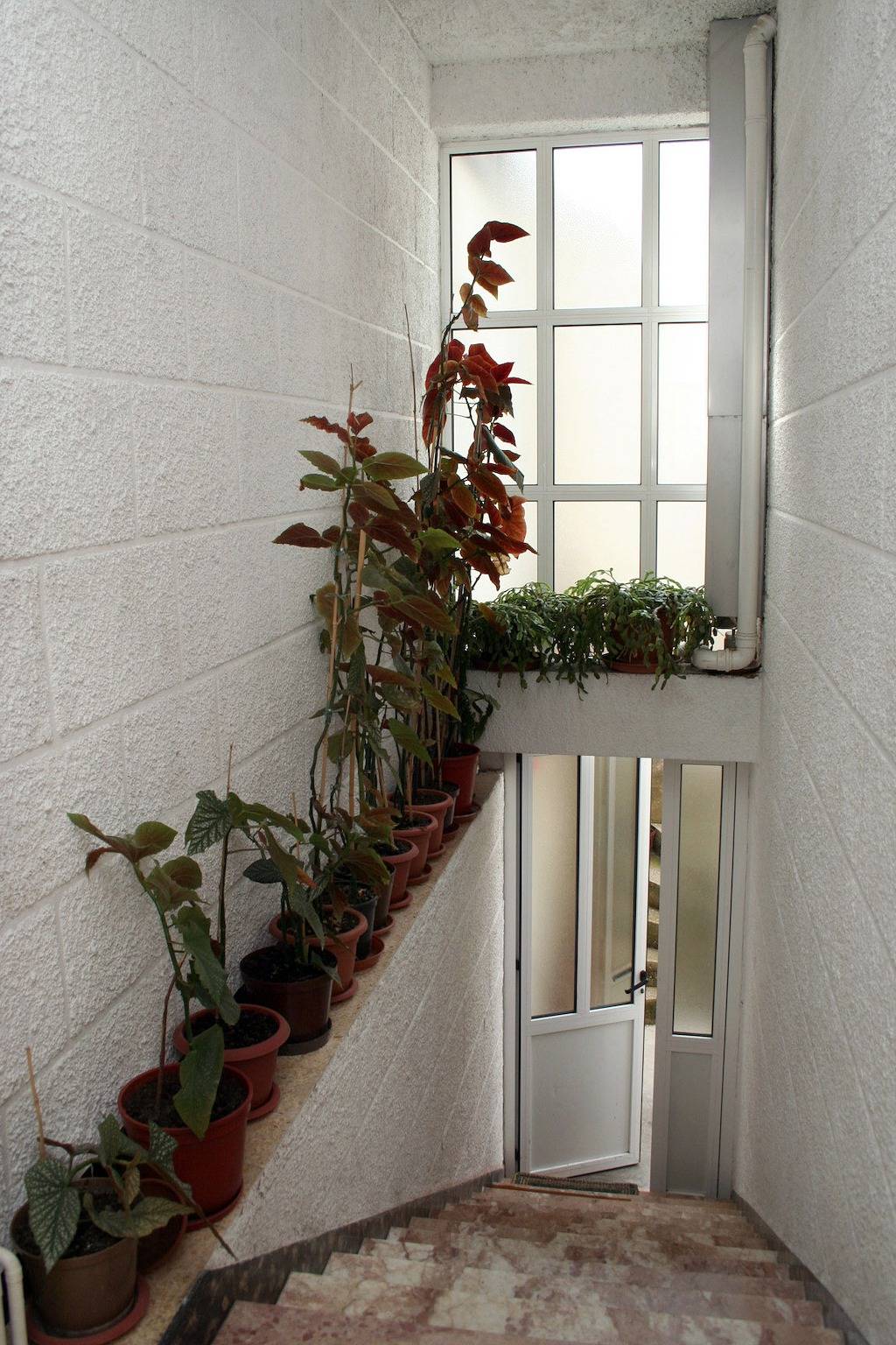 Ganze Wohnung, 1-Zimmer-Ferienwohnung am Strand Zuljana, Peljesac A-4577-c in Žuljana, Dubrovnik-Neretva