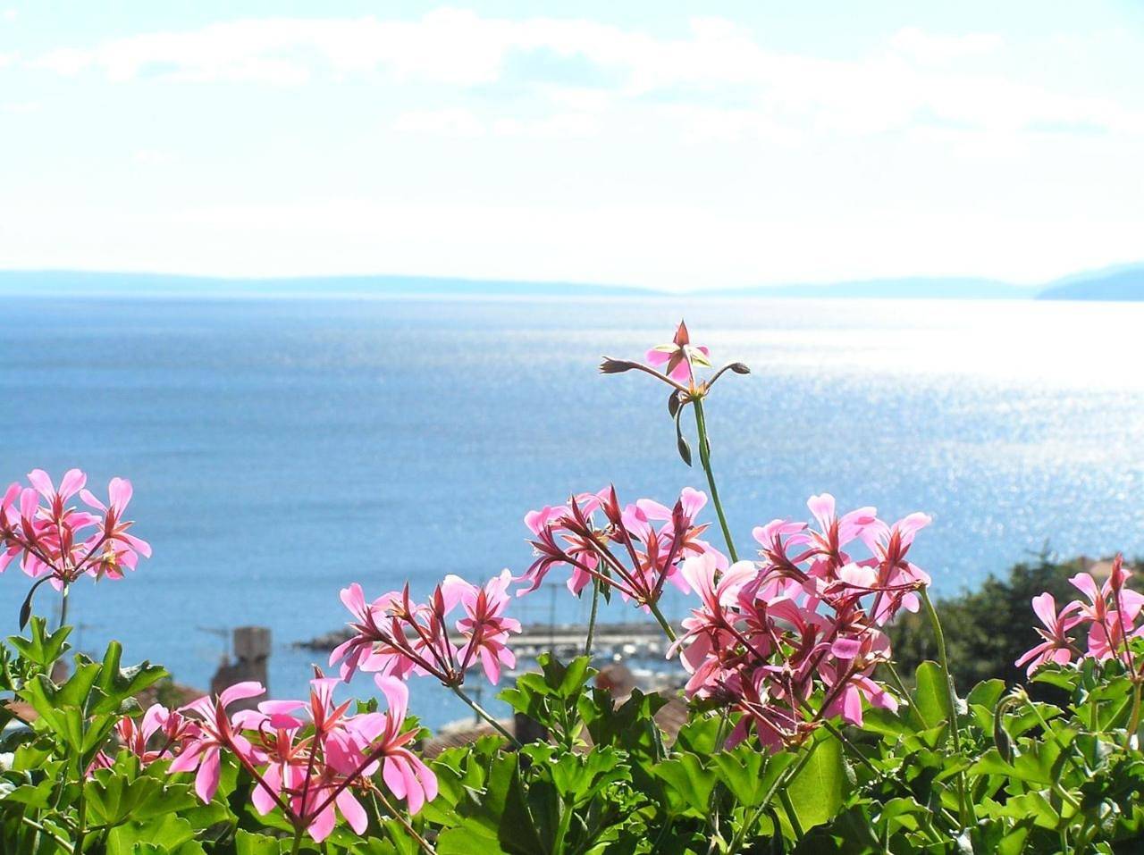 Guest House Lifestyle Holiday in Plaža Črnikovica, Opatija Riviera