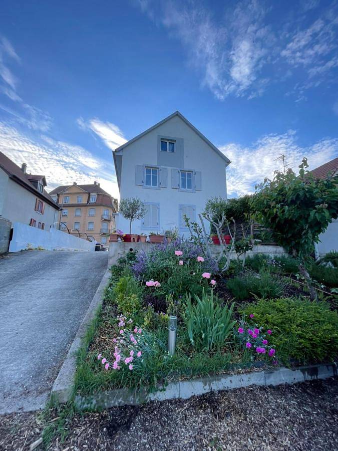 Gîte pour 4 personnes, avec jardin, animaux acceptés à Schiltigheim - 2