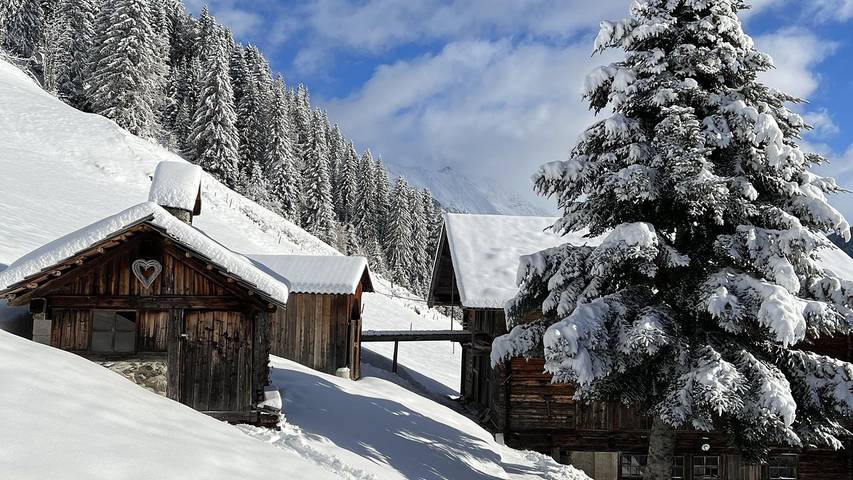 Ferienhaus für 8 Personen, mit Terrasse und Garten, mit Haustier in St. Veit in Defereggen - 2