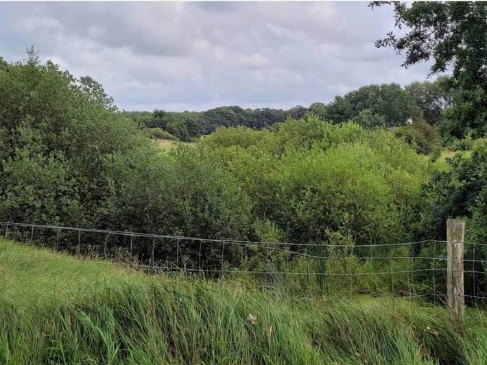 Ferienhaus für 4 Personen, mit Terrasse, mit Haustier in Ostjütland - 2