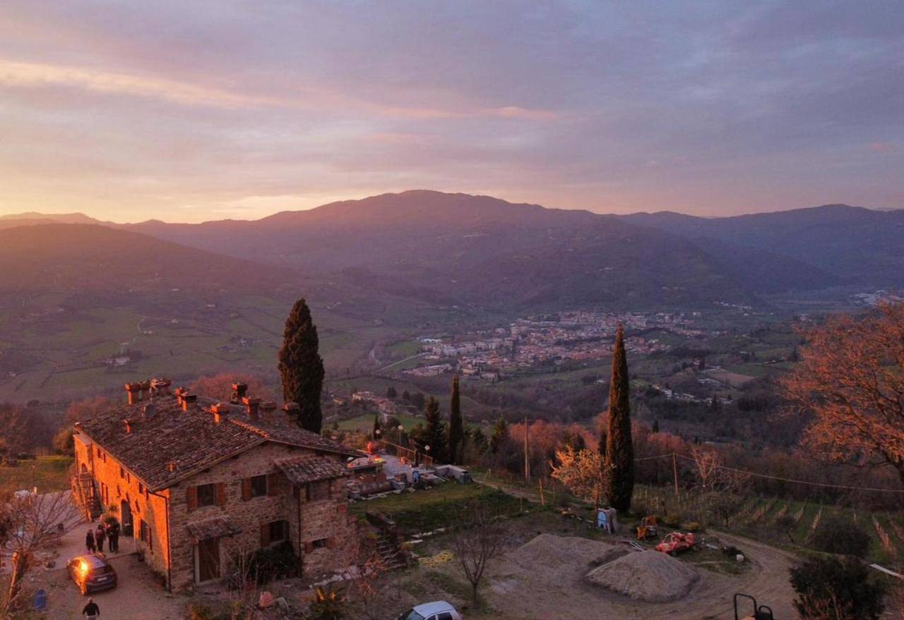 Agriturismo Prato Barone in Rufina, Chianti