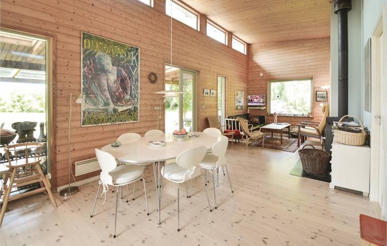 Ferienhaus für 8 Personen, mit Garten und Terrasse, mit Haustier in Råbylille Strand - 4
