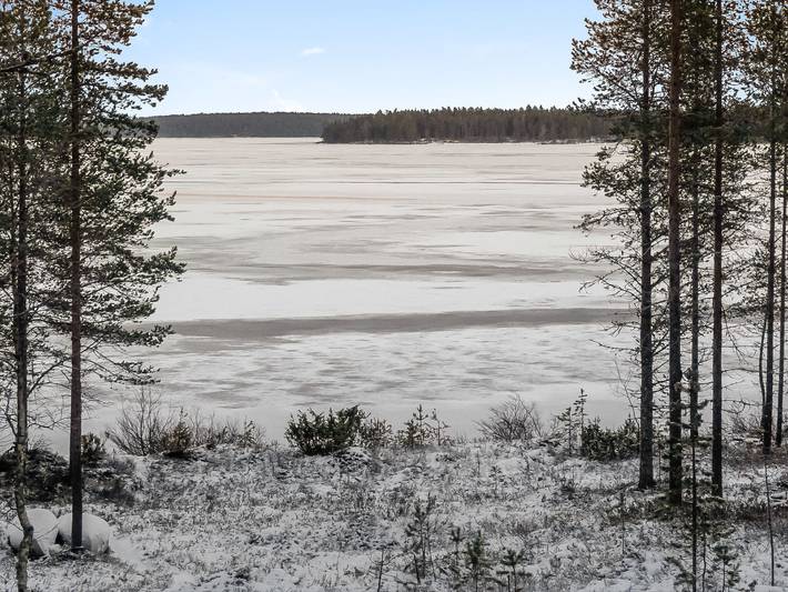 Unarin kettu in Lappland