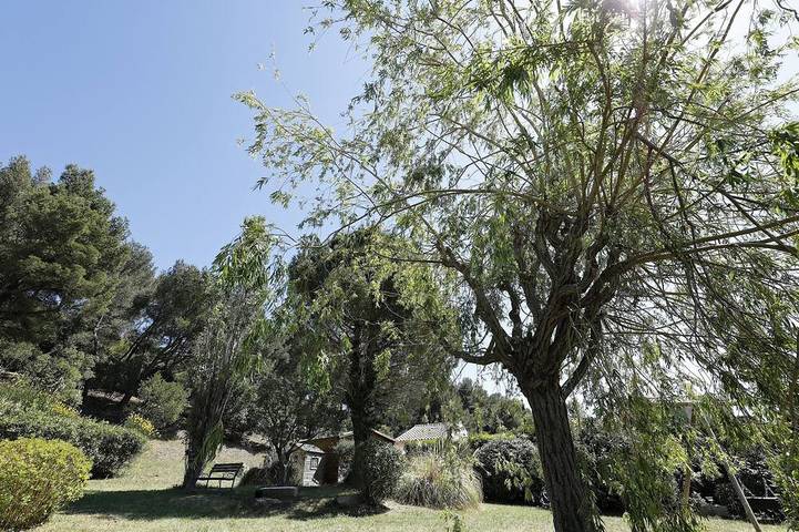 Villa pour 6 personnes, avec jardin et bassin pour enfant à Cassis - 3