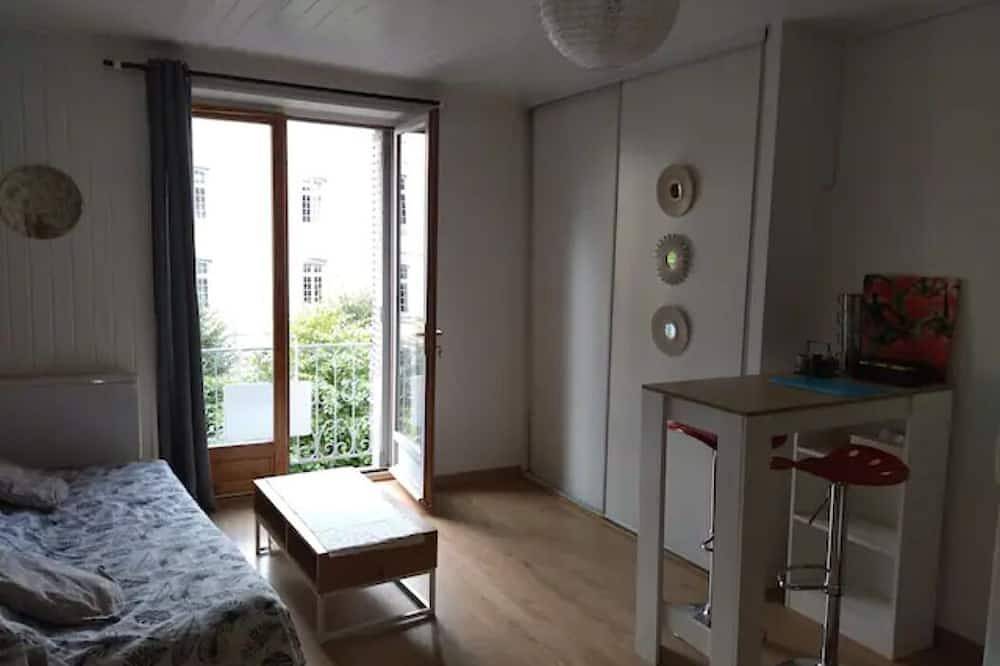 Entire apartment, Studio with balcony - view of esplanade-centre ville in Gap, Gap region