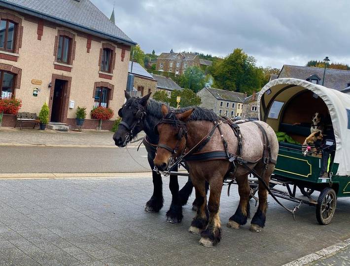 Maison d’hôte pour 5 personnes, avec jardin et vue, adapté aux familles dans Région wallonne - 4