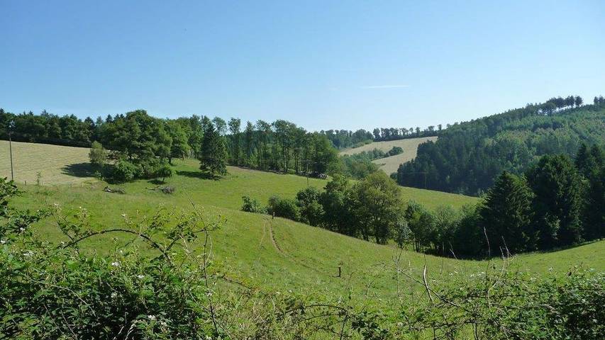 Bauernhof für 3 Personen, mit Garten in Rheinland-Pfalz - 3