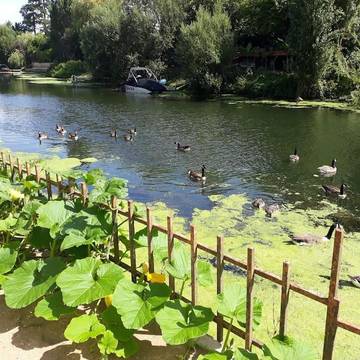 Gîte pour 2 personnes, avec vue et terrasse, animaux acceptés à Villennes-sur-Seine