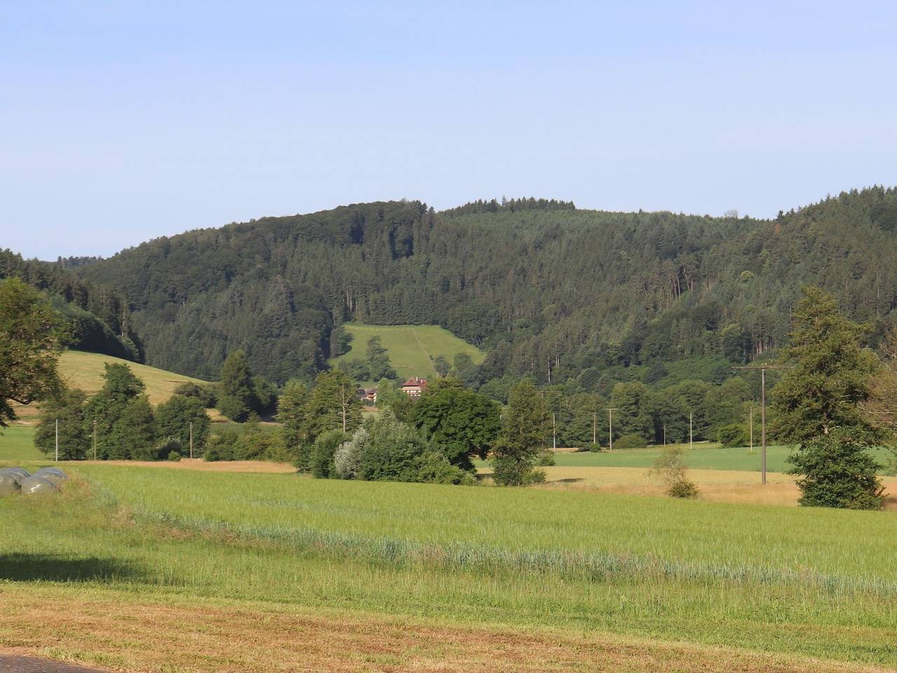 Ganze Ferienwohnung, Ferienwohnung Braun - Ferienhaus Grassertblick in Seelbach, Mittlerer Schwarzwald