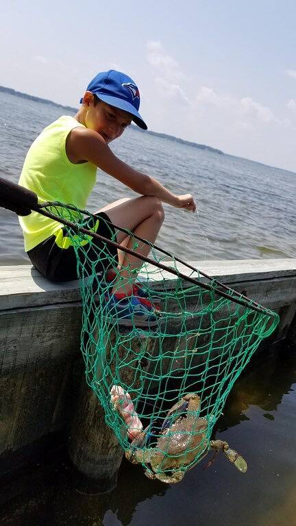 Gwynn'S Island Cottage - Erleben Sie die Chesapeake Bay - 2 Wochen im August! in Chesapeake Bay