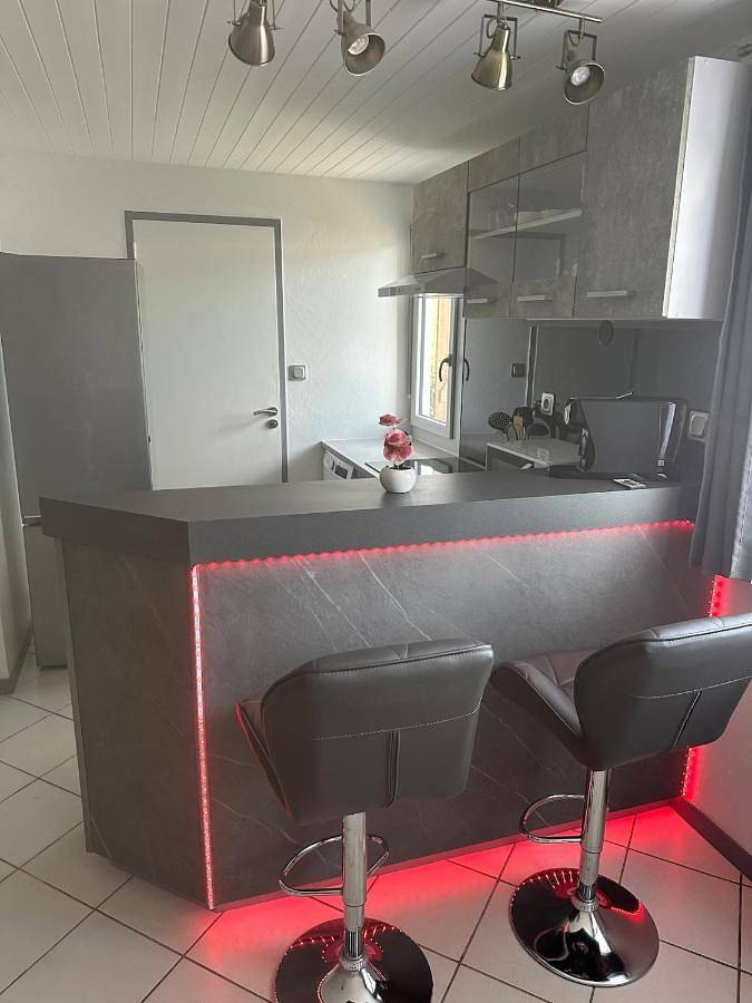 Gîte pour 4 personnes, avec terrasse, animaux acceptés à Châtillon-sur-Chalaronne - 3