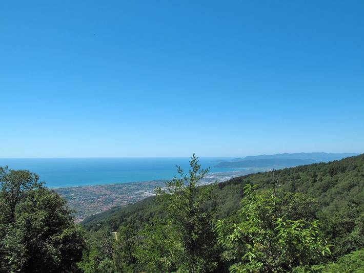 Le Ortensie in Montignoso, Riviera Toscana