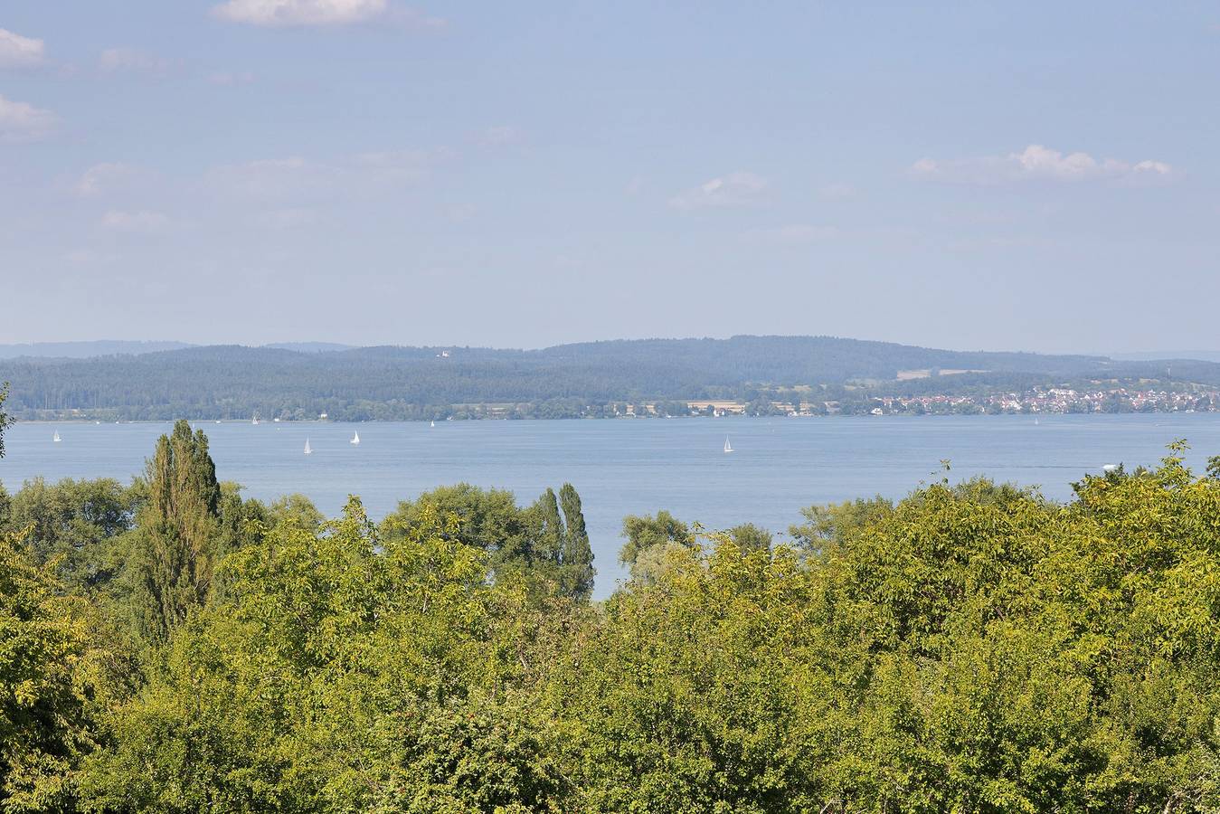 Ganze Wohnung, 2-Zimmer Ferienwohnung, 44qm, 1 Schlafraum, Balkon, max. 2 Personen in Bodman-Ludwigshafen, Landkreis Konstanz