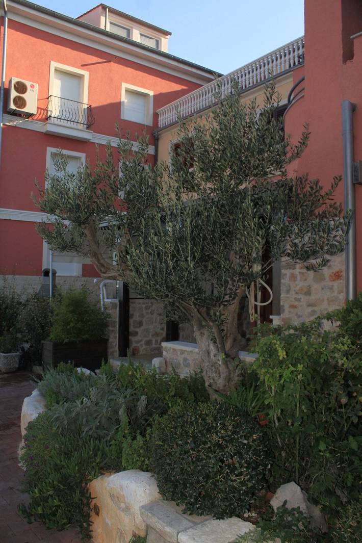 Ganze Wohnung, 1-Zimmer-Ferienwohnung am Strand Poljana, Ugljan A-8432-b in Plaža Poljana, Poljana