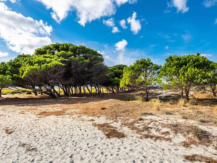 Casa 5 Personas in Siniscola, Provincia de Nuoro