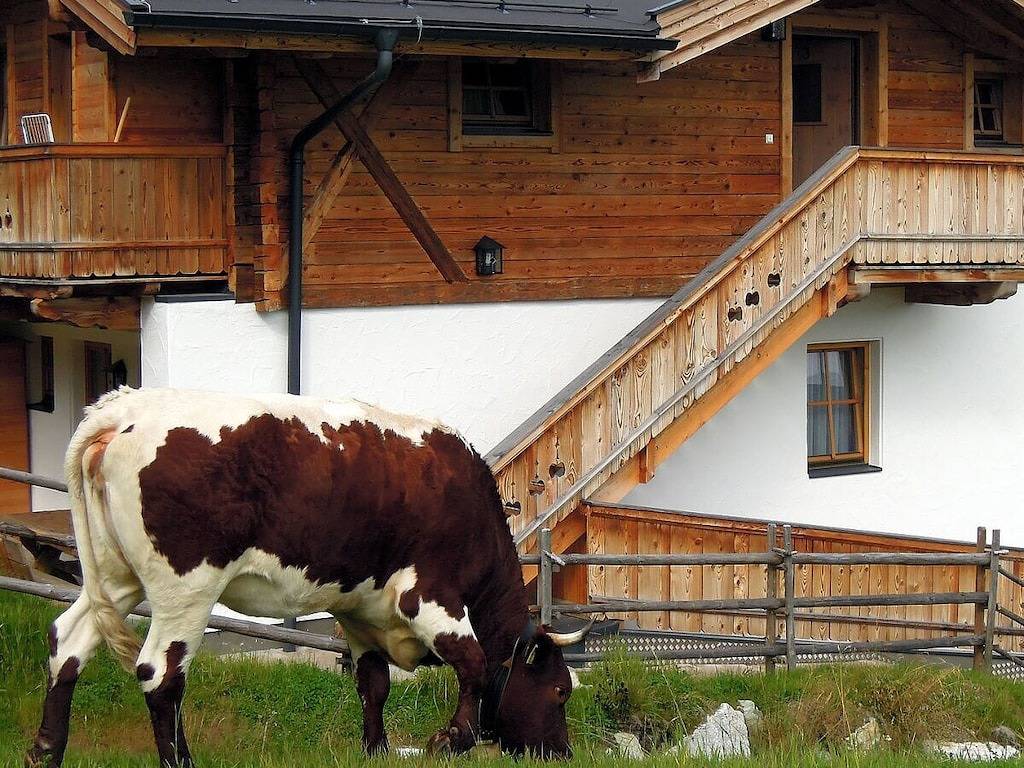 Chalet in Hochkrimml voor 8 personen in Hochkrimml, Krimml