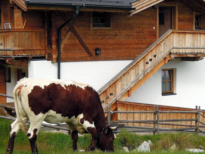 Filter.pet.vacation_home für 8 Personen, mit Balkon und Sauna in Krimml - 4