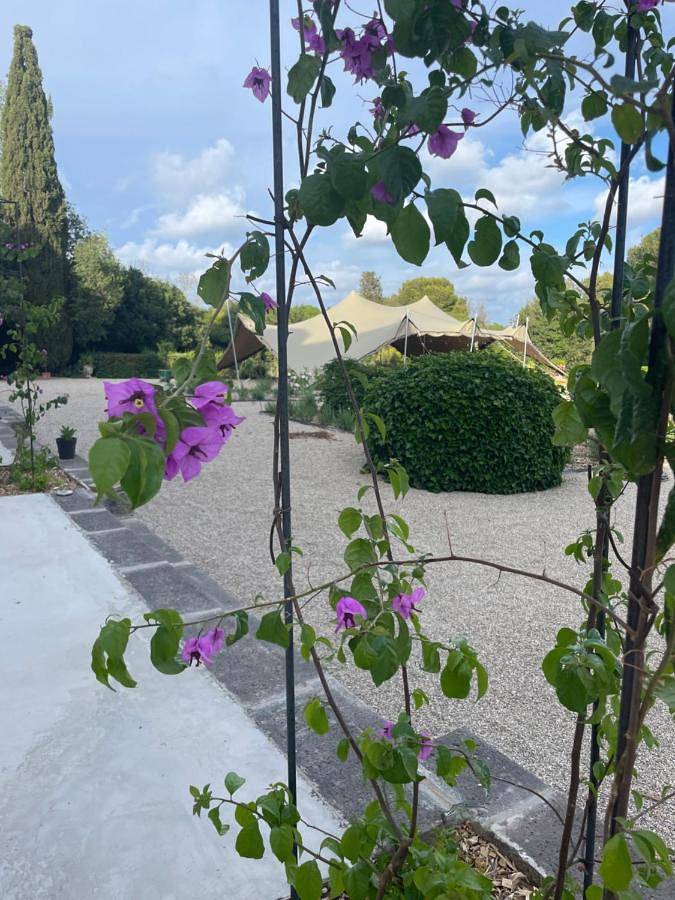 Chambre d’hôte pour 3 personnes, avec vue et vue sur le lac ainsi que terrasse et jardin à Marseillan - 3