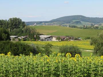 Gîte pour 4 personnes, avec vue et balcon dans Wutoschingen