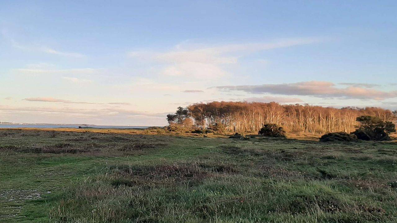 Ferienhaus für 12 Personen (180 m²) in Ebeltoft in Dråby Strand, Ebeltoft