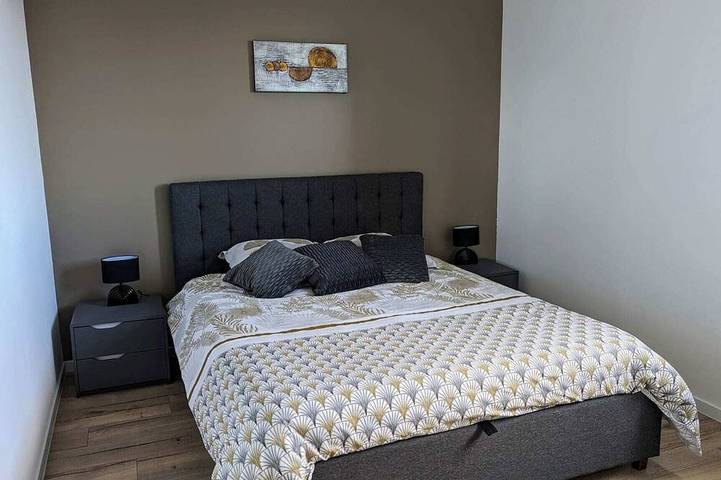 Gîte pour 6 personnes, avec jardin à La Roche-sur-Foron - 4