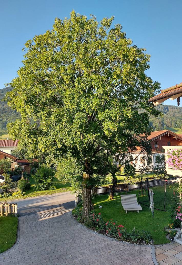 Ganze Ferienwohnung, Ferien by Wallners - Ferien by Wallners auf 73m² in Bad Feilnbach, Alpenland Tegernsee Schliersee