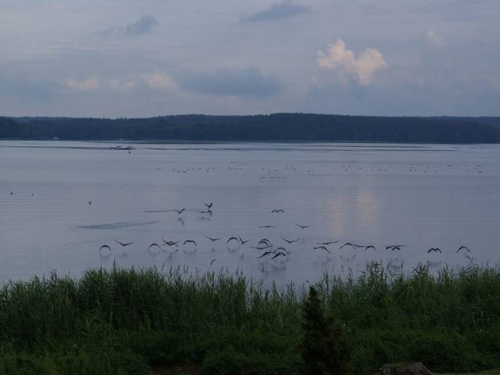 Holiday apartment for 2 people, with garden, with pets - 1