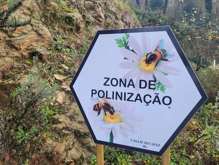 Gîte pour 5 personnes, avec vue ainsi que jardin et terrasse, animaux acceptés dans Águeda - 4