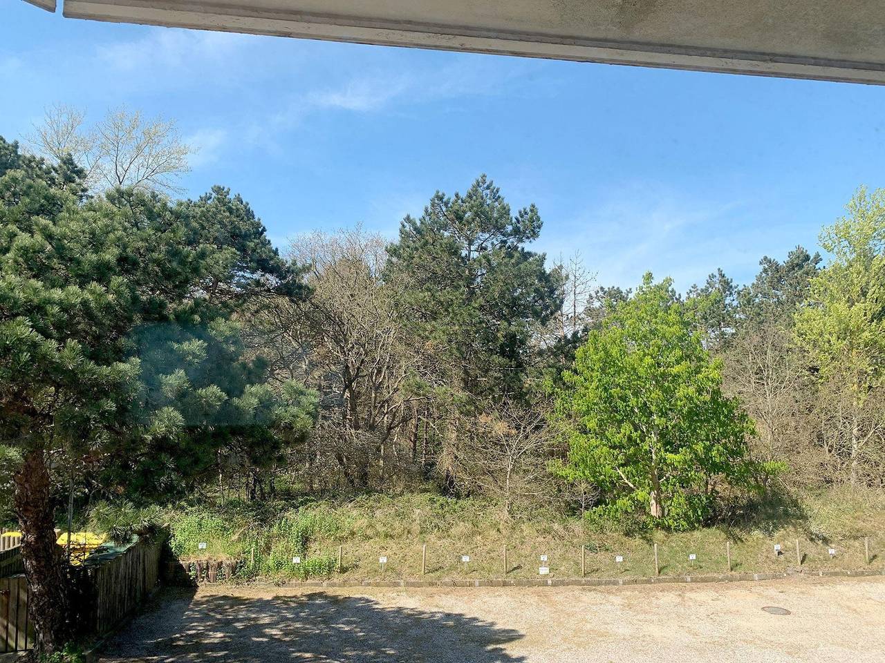 Ganze Ferienwohnung, Haus Nordsee Whg 04 in St. Peter-Bad, St. Peter-Ording