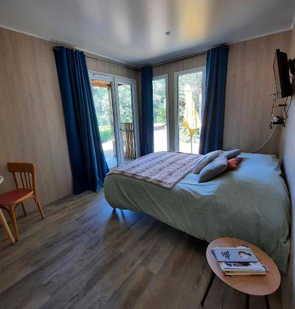 Gîte pour 2 personnes, avec jardin ainsi que piscine et vue, animaux acceptés à Brousses-et-Villaret - 2