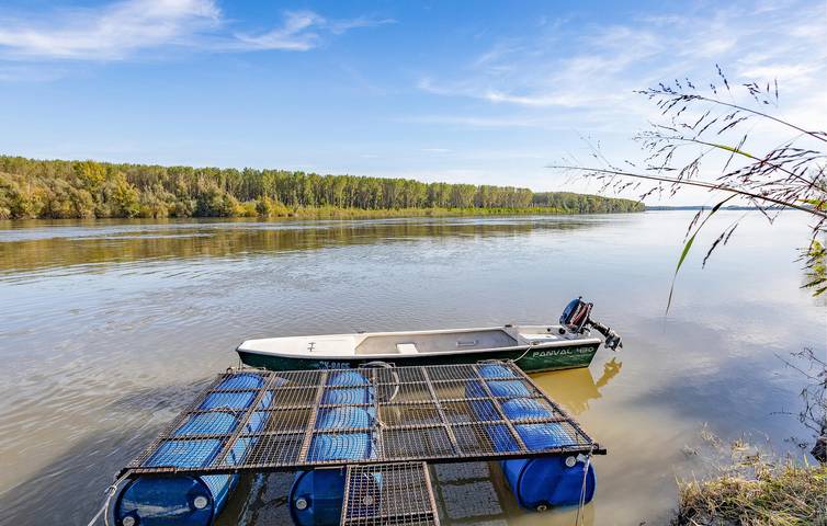 Charmante 2-Zimmer-Wohnung mit Pool, WLAN und nur wenige Schritte von der Donau entfernt in Osijek-Baranja
