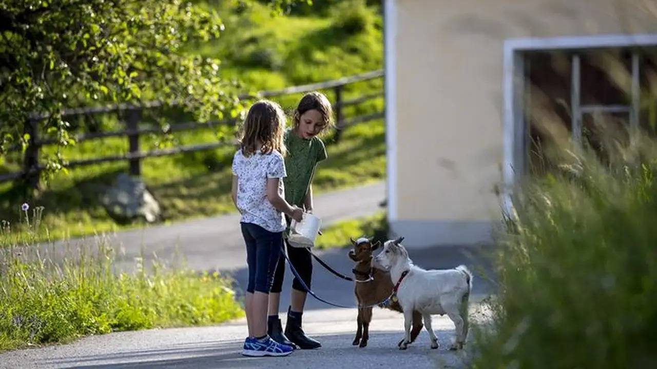 Bauernhof für 4 Personen (50 m²) in Murau in Murau, Murau (Kreischberg)