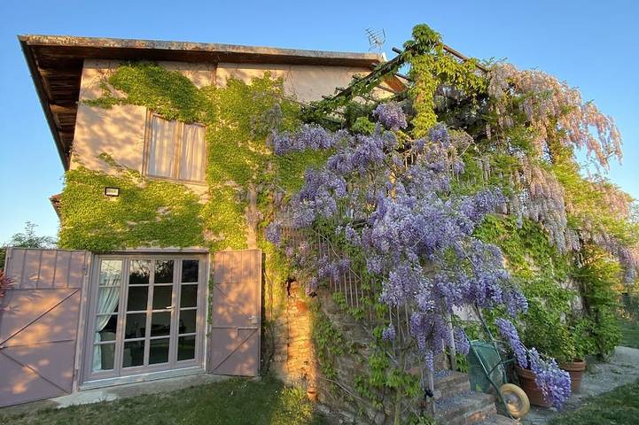 Appartement de vacances pour 4 personnes, avec terrasse ainsi que jacuzzi et jardin, animaux acceptés