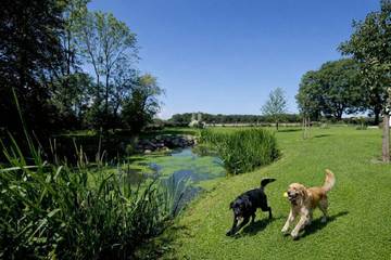 Ferienwohnung für 4 Personen in Westerholz, Schleswig-Flensburg, Bild 3