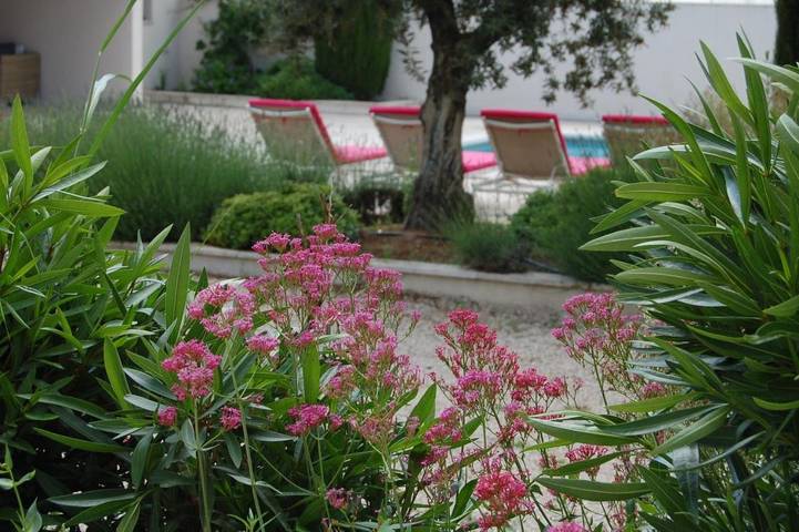 Chambre d’hôte pour 6 personnes, avec jardin et piscine à Cabannes - 4