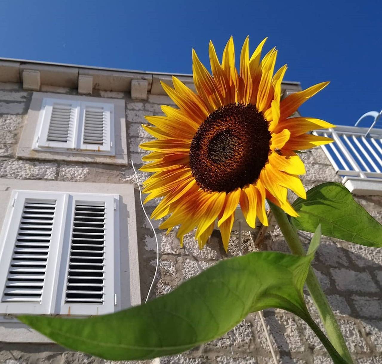 Ganzes Studio, Apartment and Room Silvana in Lumbarda, Korcula