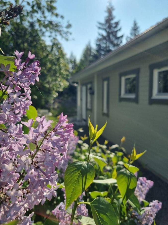 Appartement entier, Lantlig lägenhet nära Uppsala in Uppsala