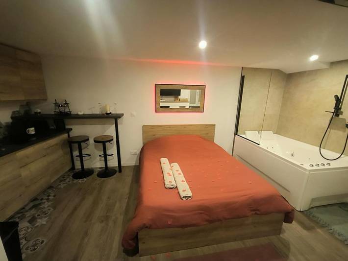 Gîte pour 2 personnes, avec terrasse et jacuzzi à Saint-Chamond - 2